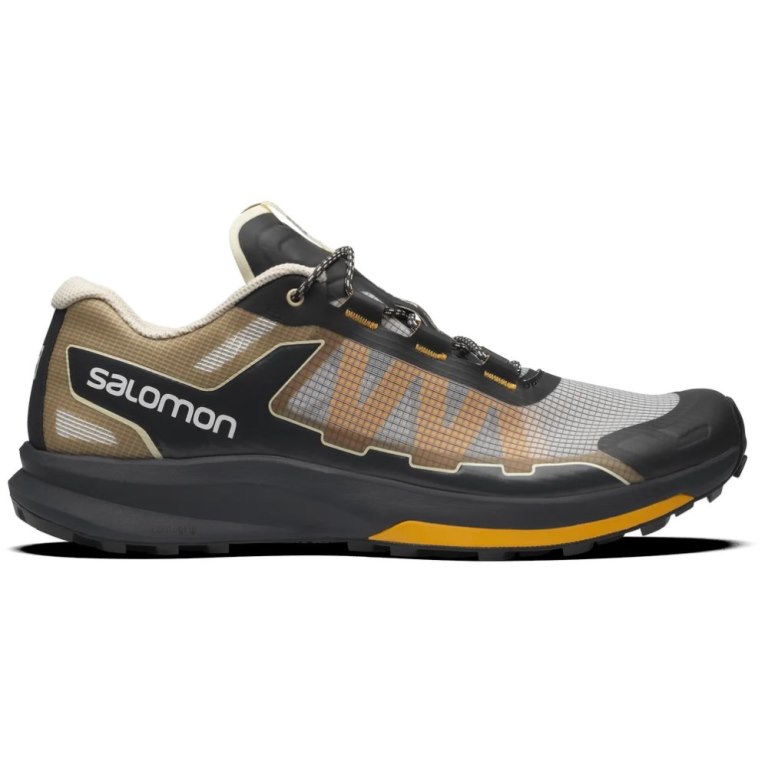 Black / Grey / Brown Salomon Ultra Raid Men\'s Sneakers | IE EJ9502